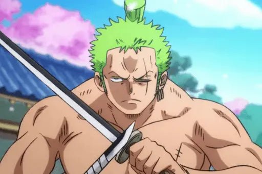 Zoro fighting the Japanese Warriors.