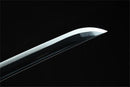 Giyu Tomioka Sword-Katana-Showhigh-Samurai Sword Store