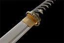 Hand Made High Quality T10 Steel Wakizashi-Katana-Showhigh-Samurai Sword Store