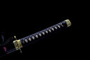 Shusui Sword - One Piece-Katana-Showhigh-Samurai Sword Store